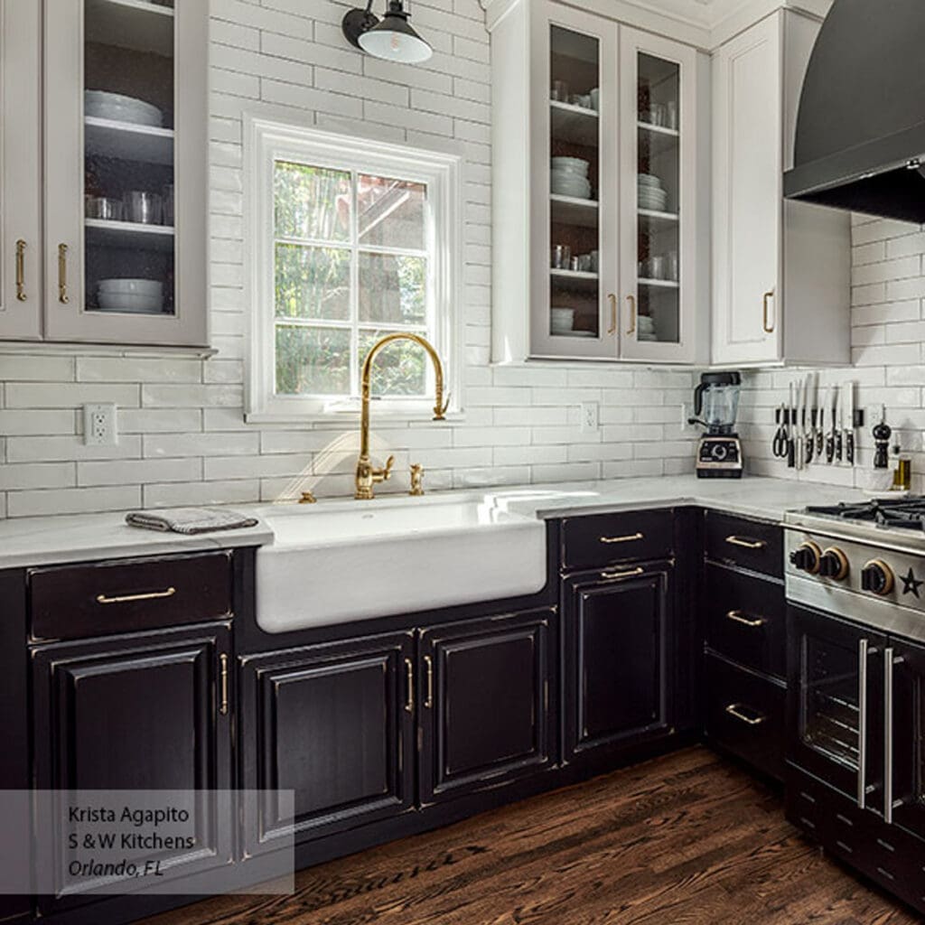 Omega Transitional Black Maple Kitchen Cabinets